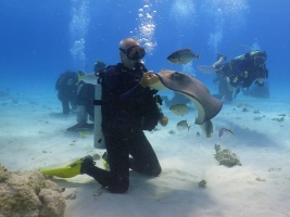 055 Steve at Stingray City IMG 5990